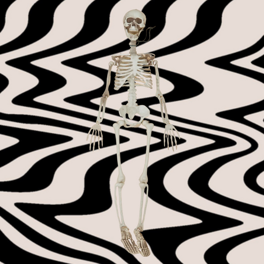 36” Posable Skeleton