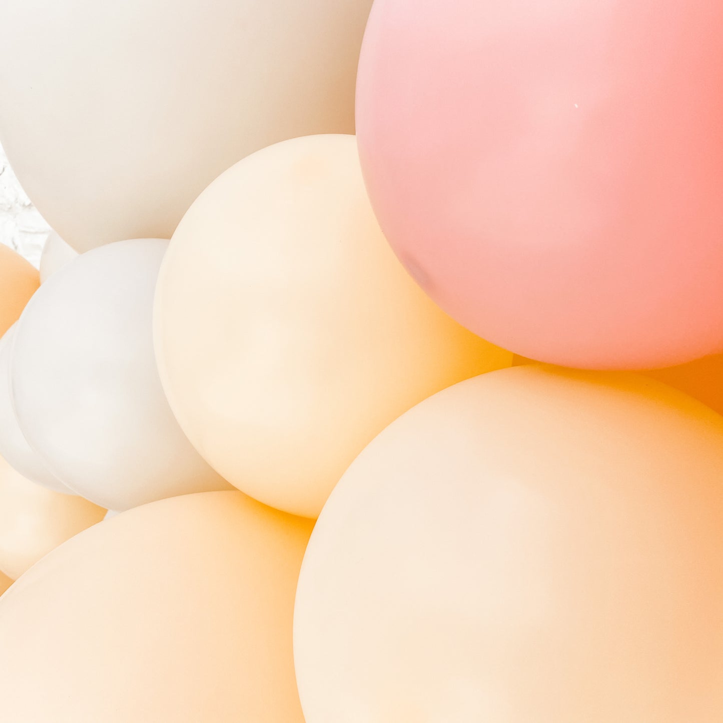 Young Wild & Free Balloon Garland Kit