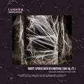 White Spider Web Decoration (200 sq. ft.)