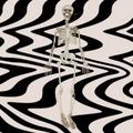 36” Posable Skeleton