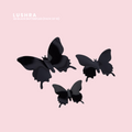3D Black Butterflies