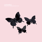 3D Black Butterflies