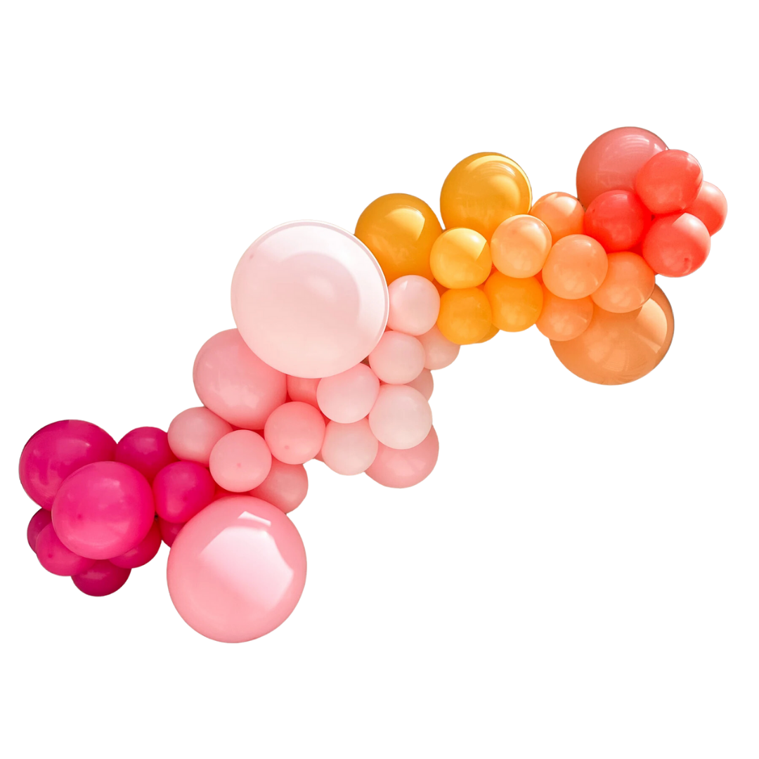 Do-It-Yourself Balloon Garland Kits – Lushra