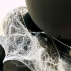 Close-up of a car exhaust with spider webs on a white background