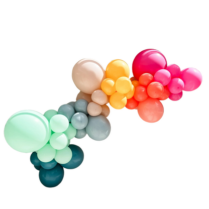 Modern Rainbow Balloon Garland Kit