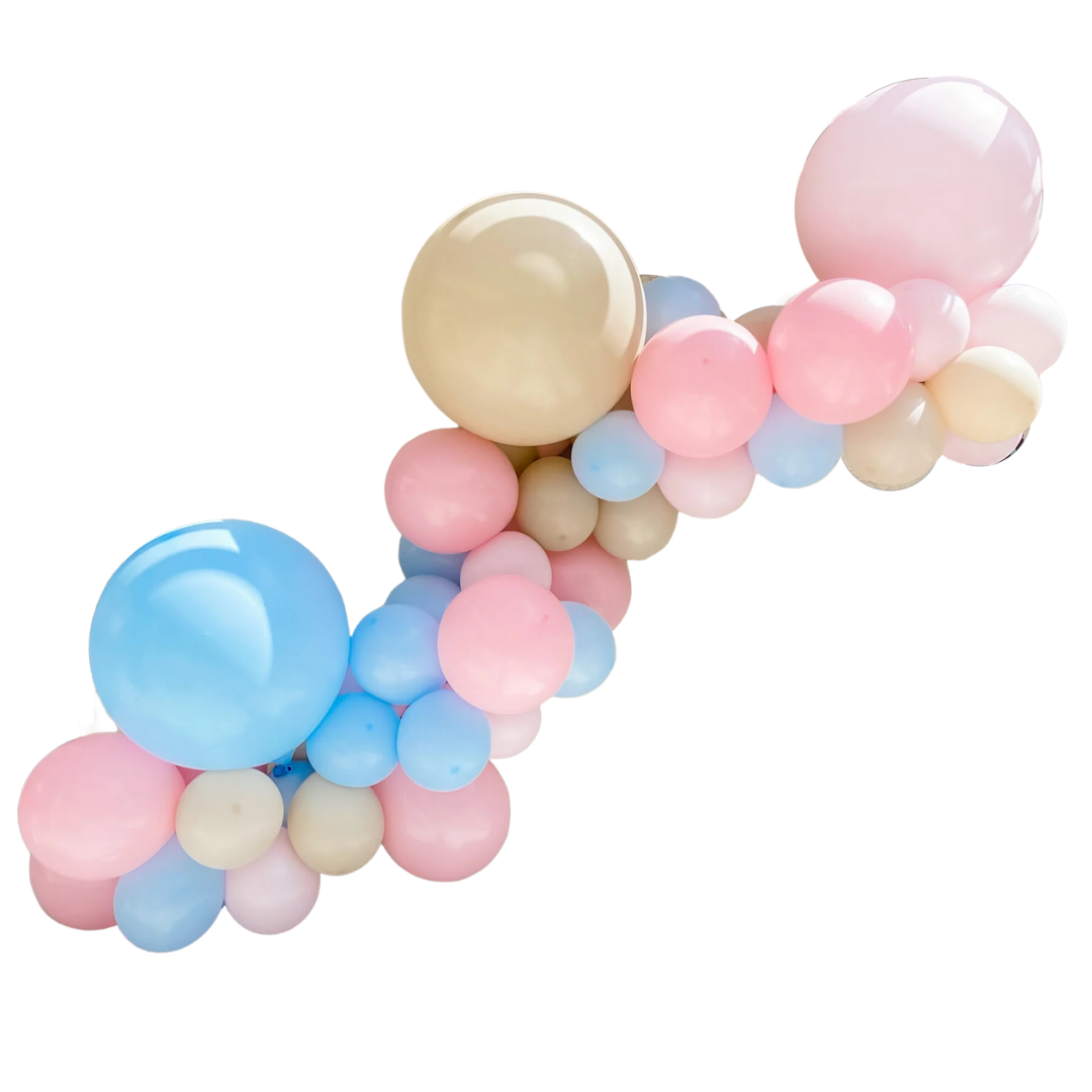 Pastel Gender Reveal Balloon Garland Kit