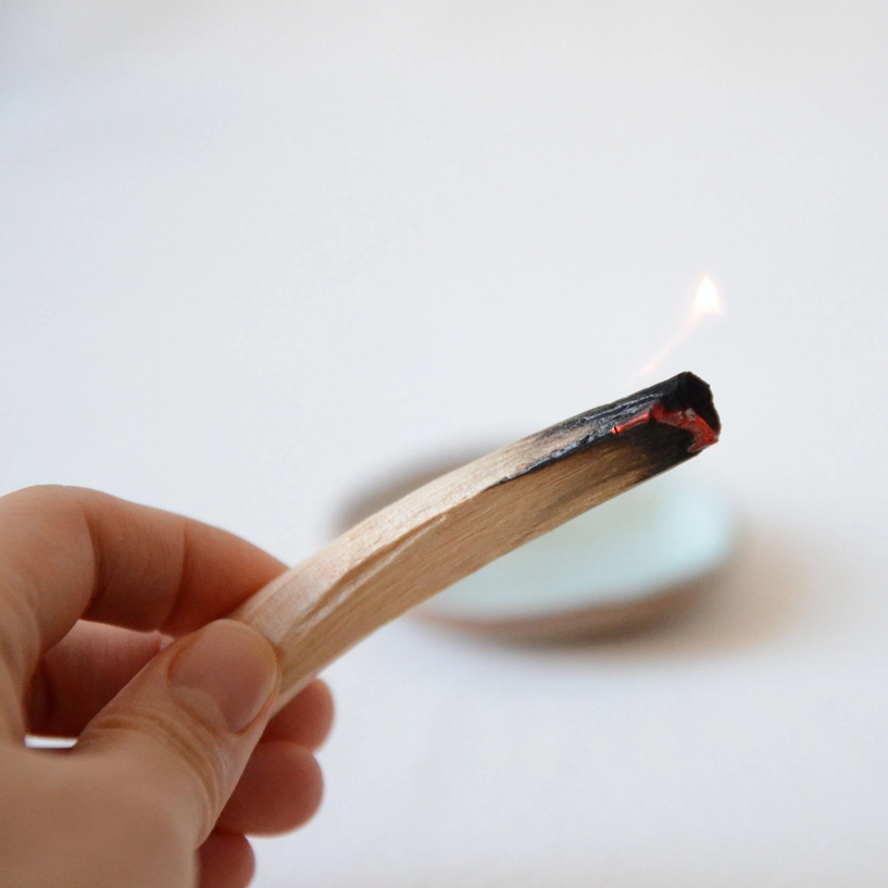 Palo Santo Sticks from Ecuador | 10 Sticks