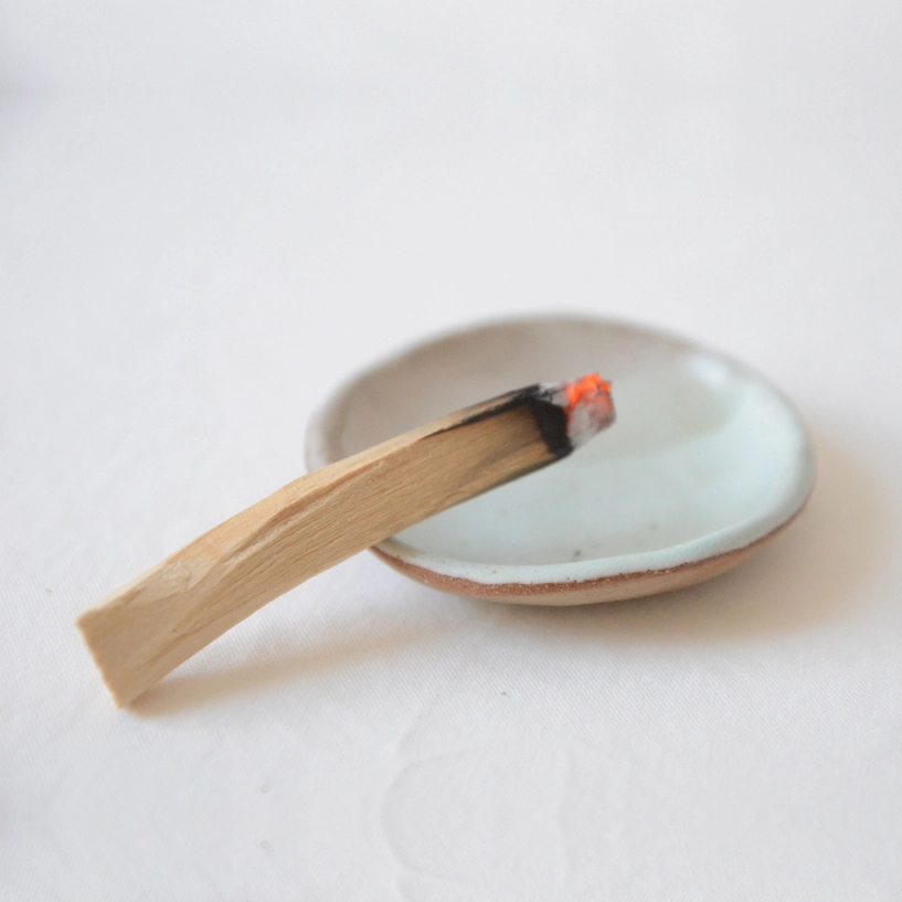 Palo Santo Sticks from Ecuador | 10 Sticks