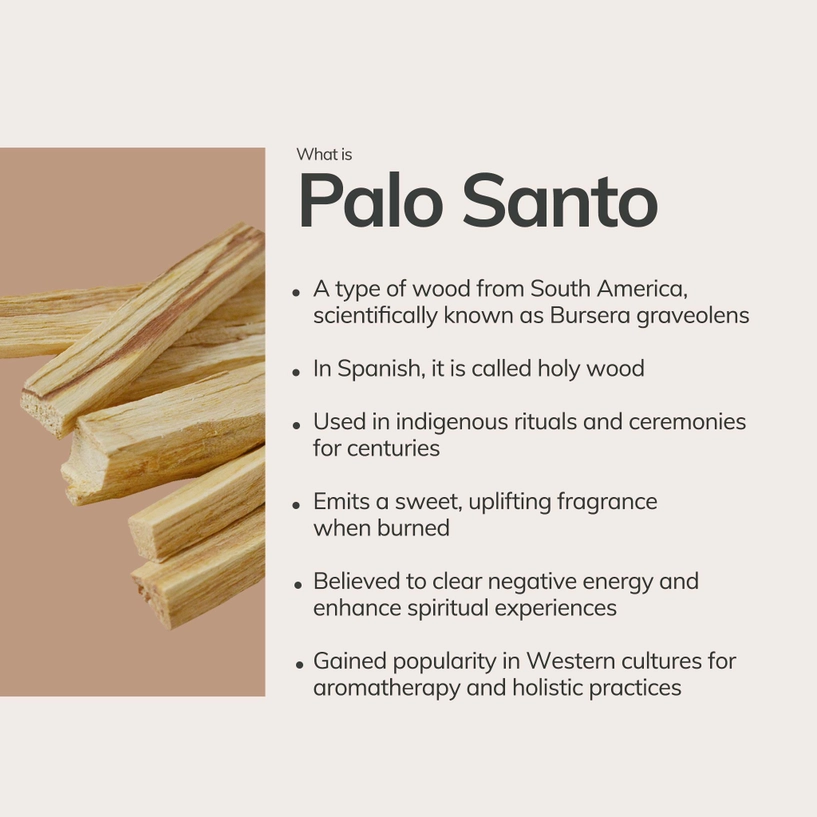 Palo Santo Sticks from Ecuador | 10 Sticks