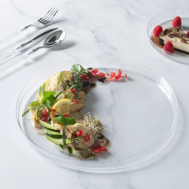 Round Clear Walled Plastic Dinner Plates | 10 Pack