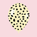 Ivory Cheetah