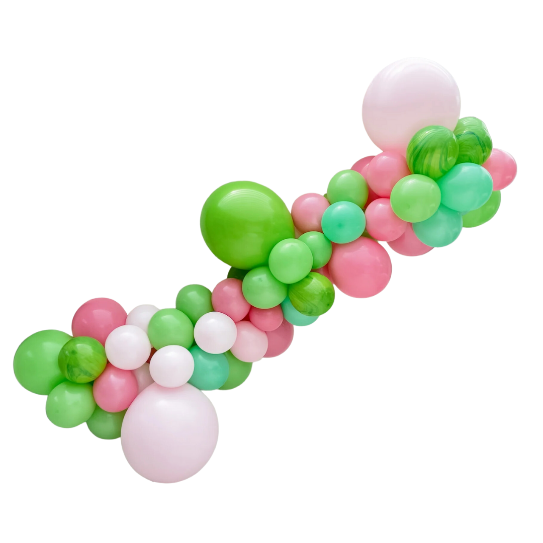 Watermelon Sugar Balloon Garland Kit