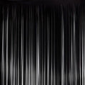 Black Curtain Fringe