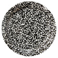 Speckle Large Paper Plates