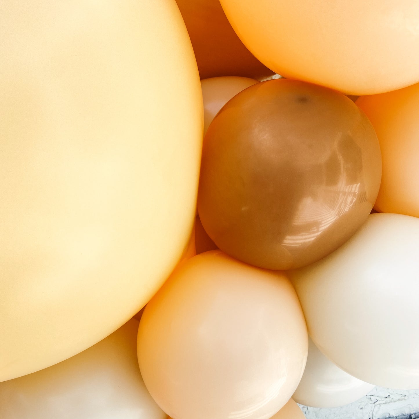 Desert Racer Balloon Garland Kit